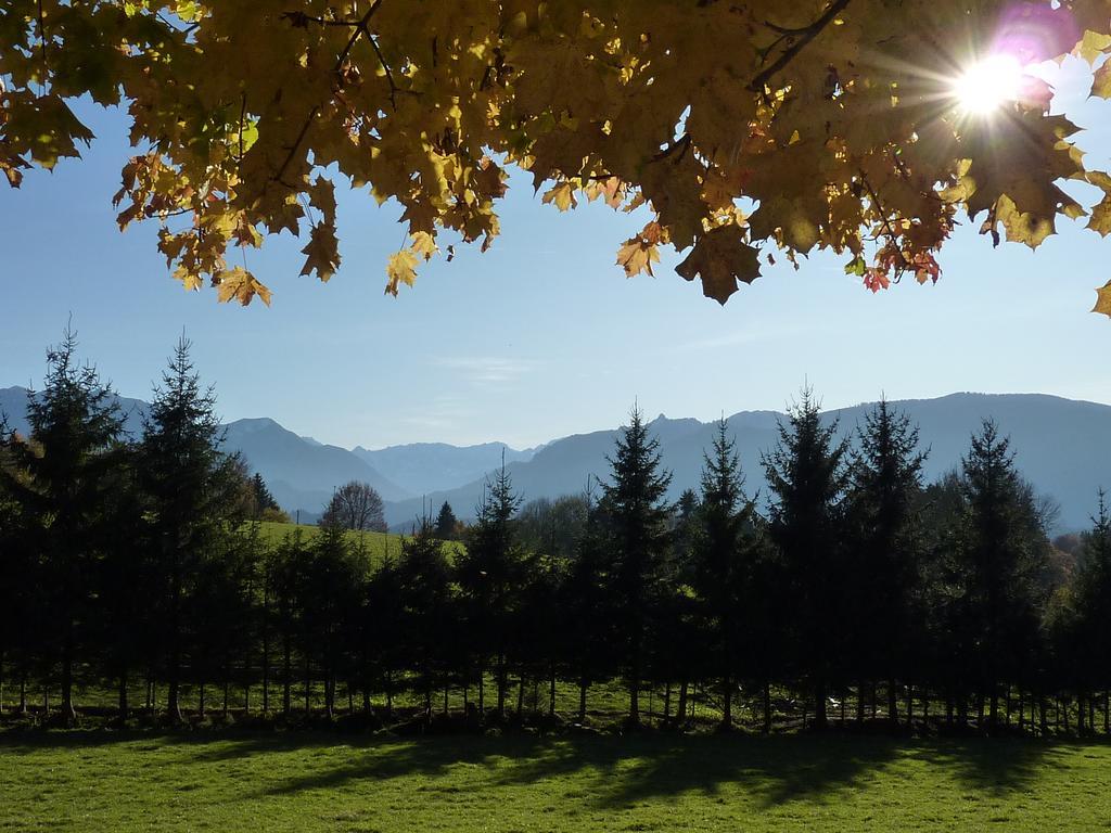 St Lukas Apartments Oberammergau Exteriér fotografie